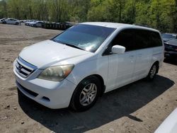 Salvage cars for sale from Copart Marlboro, NY: 2006 Honda Odyssey EX