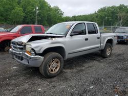 Vandalism Trucks for sale at auction: 2004 Dodge Dakota Quad SLT