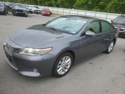 Salvage cars for sale at Glassboro, NJ auction: 2013 Lexus ES 300H