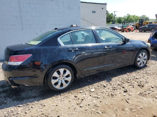 2010 Honda Accord EXL