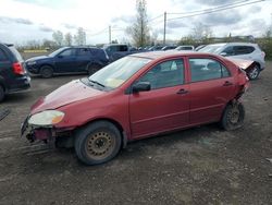 Salvage cars for sale from Copart Montreal Est, QC: 2005 Toyota Corolla CE