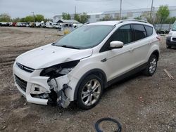 Salvage cars for sale at Franklin, WI auction: 2015 Ford Escape Titanium