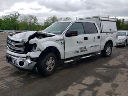 Salvage cars for sale at Marlboro, NY auction: 2013 Ford F150 Supercrew