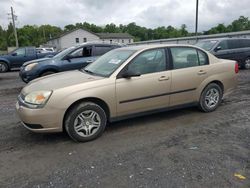 Salvage cars for sale at York Haven, PA auction: 2005 Chevrolet Malibu