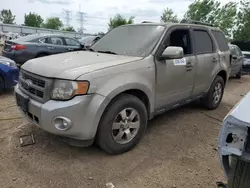 Salvage cars for sale at Elgin, IL auction: 2009 Ford Escape Limited