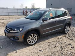 Salvage cars for sale at Appleton, WI auction: 2013 Volkswagen Tiguan S