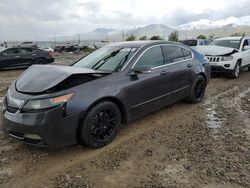 Salvage cars for sale at Magna, UT auction: 2012 Acura TL