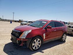 Cadillac srx Premium Collection Vehiculos salvage en venta: 2013 Cadillac SRX Premium Collection