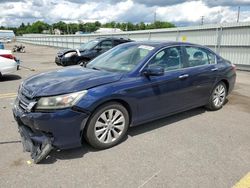 Salvage cars for sale at Pennsburg, PA auction: 2013 Honda Accord EXL