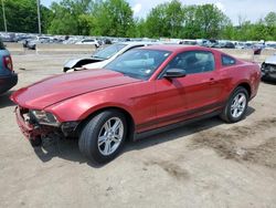 Salvage cars for sale at Marlboro, NY auction: 2011 Ford Mustang