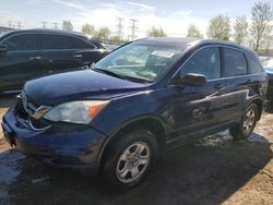 Salvage cars for sale from Copart Elgin, IL: 2010 Honda CR-V EX