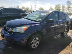 Salvage cars for sale at Elgin, IL auction: 2010 Honda CR-V EX