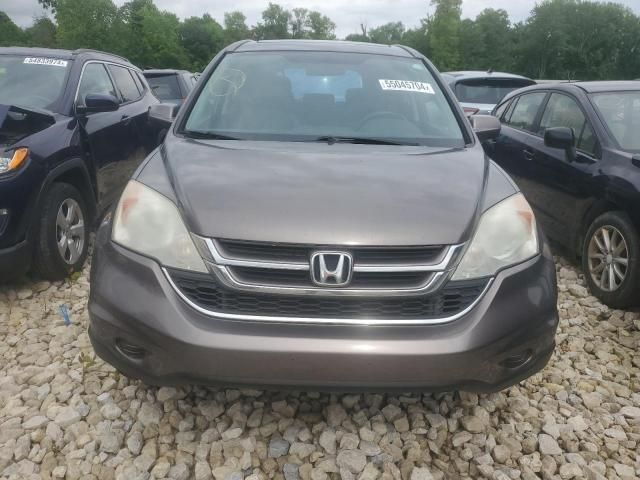 2010 Honda CR-V EXL