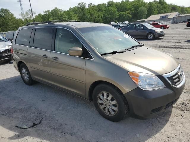 2009 Honda Odyssey EXL