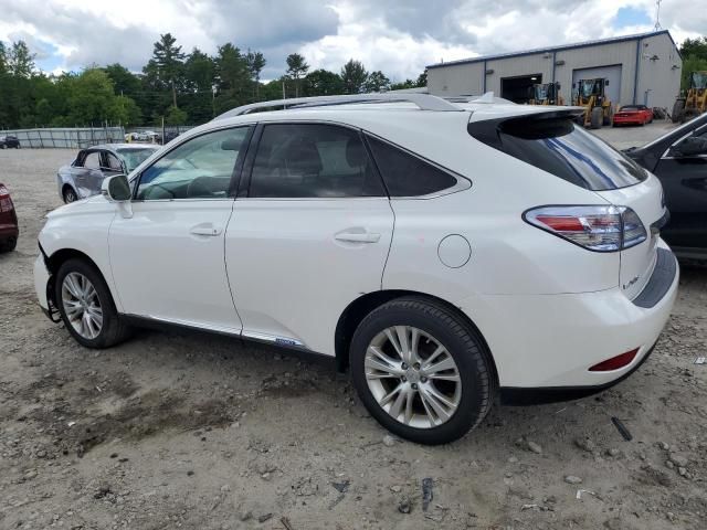 2010 Lexus RX 450