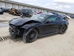 Salvage cars for sale at Louisville, KY auction: 2019 Ford Mustang