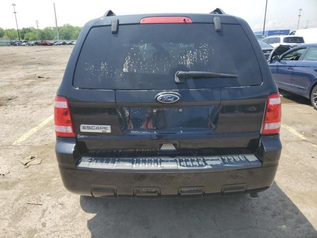 2010 Ford Escape XLT