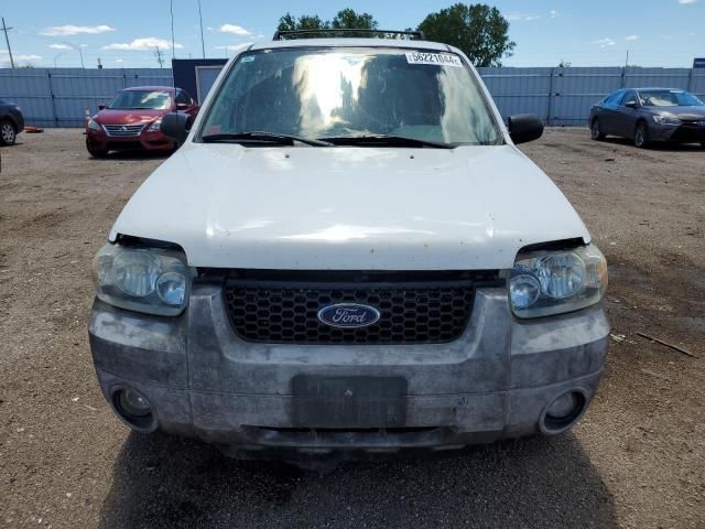 2007 Ford Escape XLT