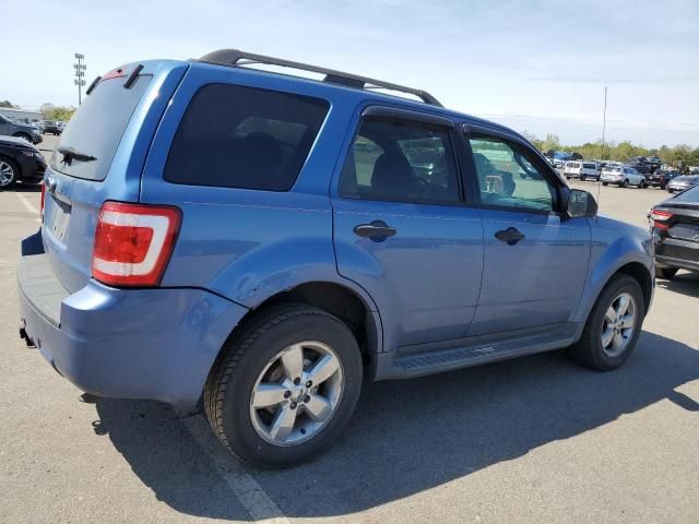 2009 Ford Escape XLT