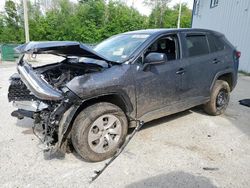 Salvage cars for sale at Candia, NH auction: 2024 Toyota Rav4 LE