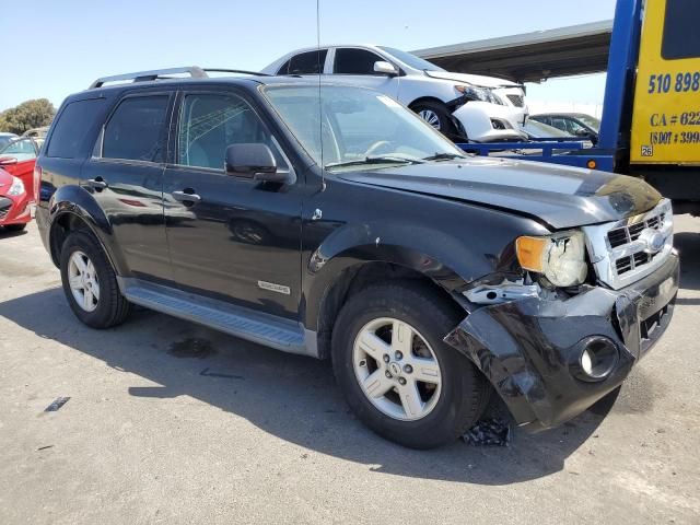 2008 Ford Escape HEV