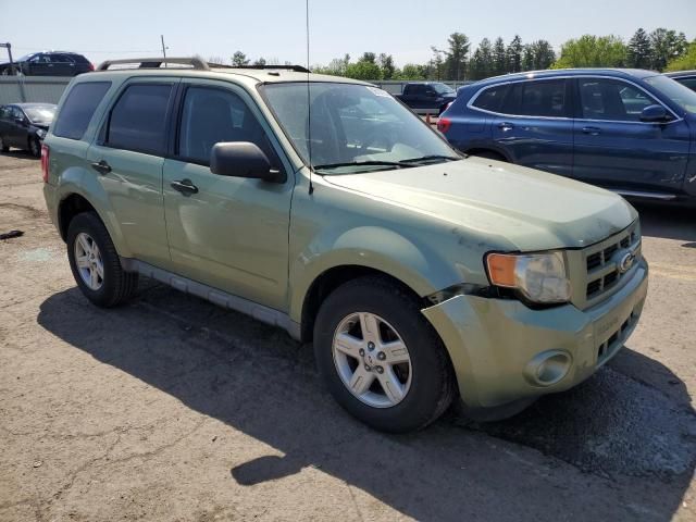 2010 Ford Escape Hybrid