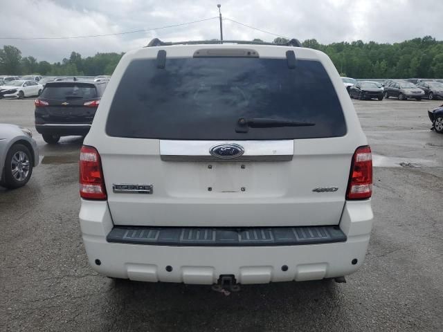 2009 Ford Escape Limited