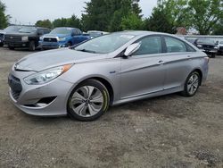 Salvage cars for sale at Finksburg, MD auction: 2013 Hyundai Sonata Hybrid