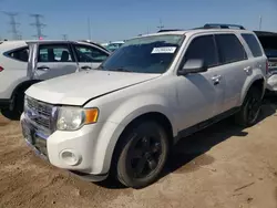 Salvage cars for sale at Elgin, IL auction: 2010 Ford Escape Limited