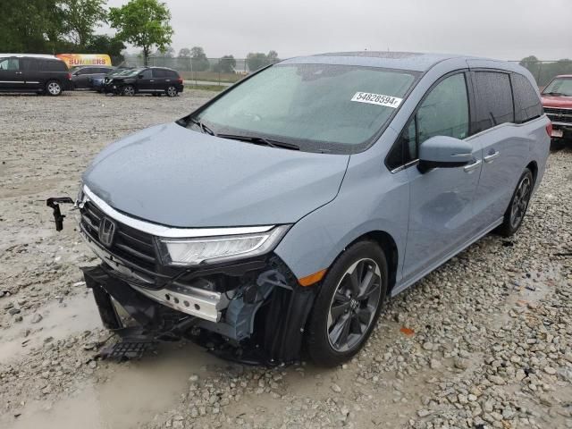 2023 Honda Odyssey Elite