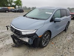 Salvage cars for sale at Cicero, IN auction: 2023 Honda Odyssey Elite