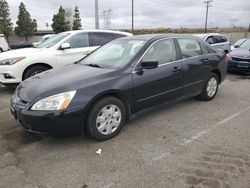 Honda Accord LX Vehiculos salvage en venta: 2003 Honda Accord LX