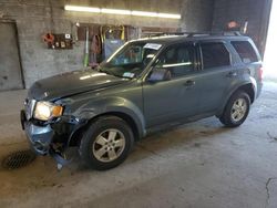 Salvage cars for sale from Copart Angola, NY: 2012 Ford Escape XLT