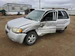 Ford Escape salvage cars for sale: 2004 Ford Escape Limited