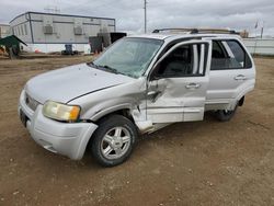 Vehiculos salvage en venta de Copart Bismarck, ND: 2004 Ford Escape Limited