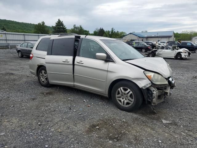 2005 Honda Odyssey EXL