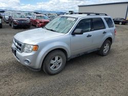 Ford Escape xls salvage cars for sale: 2010 Ford Escape XLS