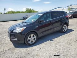 Vehiculos salvage en venta de Copart Albany, NY: 2016 Ford Escape SE