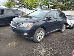 Salvage cars for sale from Copart New Britain, CT: 2010 Lexus RX 450