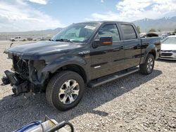 Salvage SUVs for sale at auction: 2014 Ford F150 Supercrew