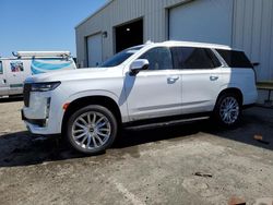 Salvage cars for sale at Martinez, CA auction: 2023 Cadillac Escalade Premium Luxury