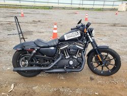 Salvage Motorcycles for sale at auction: 2020 Harley-Davidson XL883 N