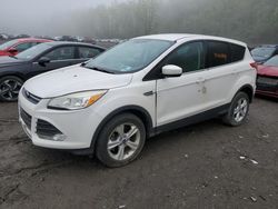 Vehiculos salvage en venta de Copart Marlboro, NY: 2014 Ford Escape SE