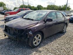 Vehiculos salvage en venta de Copart Columbus, OH: 2013 Toyota Corolla Base