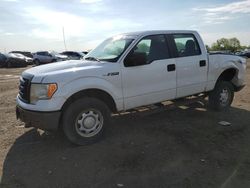 Salvage cars for sale from Copart Davison, MI: 2010 Ford F150 Supercrew