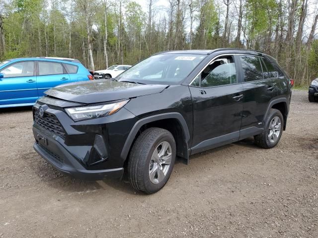 2024 Toyota Rav4 XLE