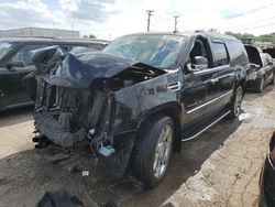 Salvage cars for sale at Chicago Heights, IL auction: 2011 Cadillac Escalade ESV Luxury