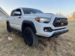 Salvage cars for sale from Copart Colton, CA: 2021 Toyota Tacoma Double Cab