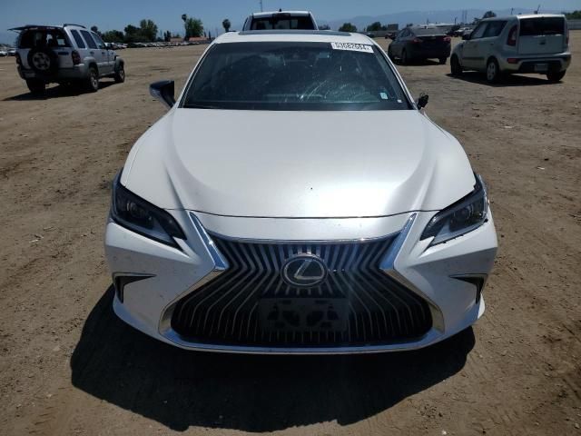 2019 Lexus ES 350