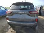 2023 Ford Escape ST Line